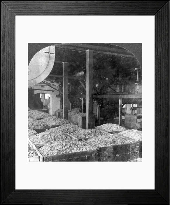 Framed Print : Making paper from rags, Holyoke, Massachusetts, USA, 20th century. Artist: Keystone View Company Framed Print : Making paper from rags, Holyoke, Massachusetts, USA, 20th century. Artist: Keystone View Company