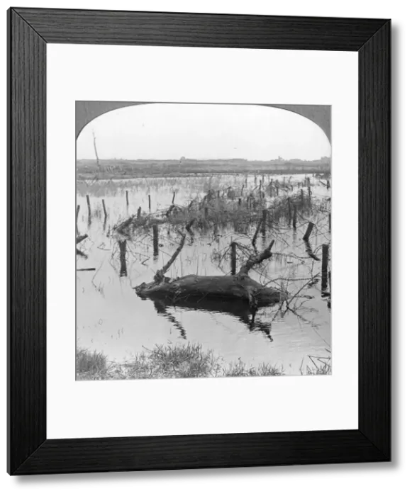 Framed Print : Opened sluices and barbed wire at Nieuwpoort, Belgium, World War I, c1914-c1918. Artist: Realistic Travels Publishers Framed Print : Opened sluices and barbed wire at Nieuwpoort, Belgium, World War I, c1914-c1918. Artist: Realistic Travels Publishers
