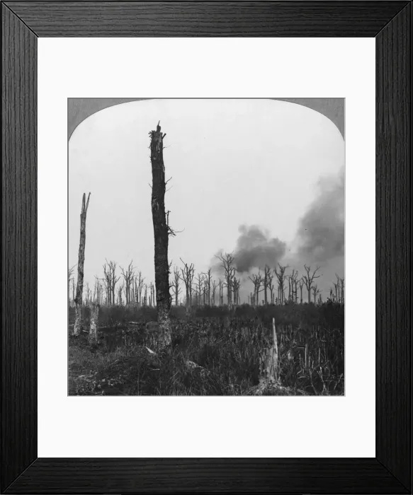 Framed Print : High explosive shells bursting in Mametz Wood, France, World War I, 1916. Artist: Realistic Travels Publishers Framed Print : High explosive shells bursting in Mametz Wood, France, World War I, 1916. Artist: Realistic Travels Publishers