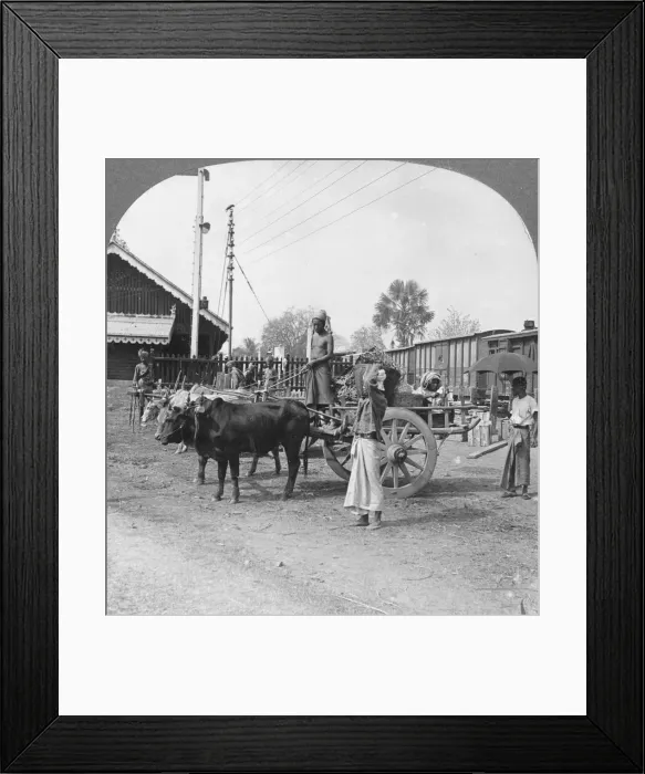 Framed Print : Typical railway station, Katha, Burma, 1908. Artist: Stereo Travel Co