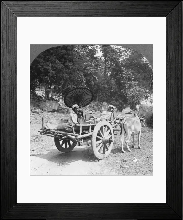 Framed Print : Family journeying through the jungle near Mingun, Burma, 1908. Artist: Stereo Travel Co Framed Print : Family journeying through the jungle near Mingun, Burma, 1908. Artist: Stereo Travel Co