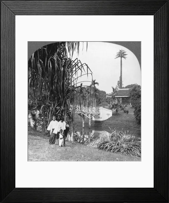 Framed Print : A peep into the tropical gardens of Rangoon, Burma, 1908. Artist: Stereo Travel Co Framed Print : A peep into the tropical gardens of Rangoon, Burma, 1908. Artist: Stereo Travel Co