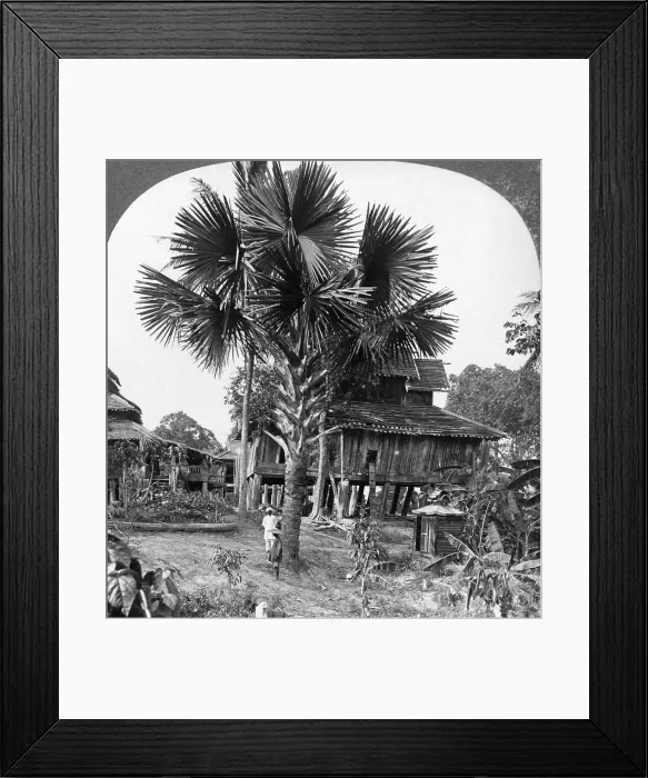 Framed Print : Native house built on piles, Bhamo, Burma, 1908. Artist: Stereo Travel Co Framed Print : Native house built on piles, Bhamo, Burma, 1908. Artist: Stereo Travel Co