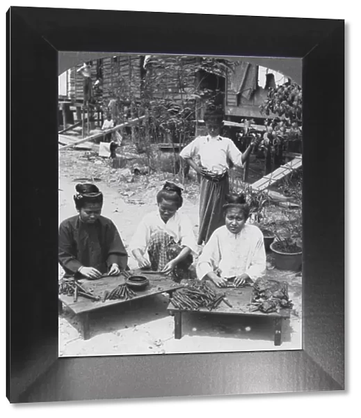 Making the huge cigars smoked by women, Burma, 1908. Artist: Stereo Travel Co