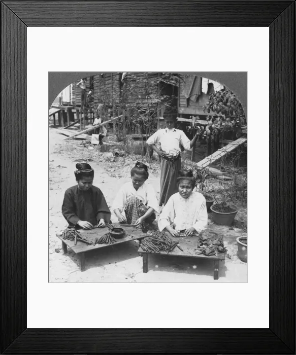 Framed Print : Making the huge cigars smoked by women, Burma, 1908. Artist: Stereo Travel Co Framed Print : Making the huge cigars smoked by women, Burma, 1908. Artist: Stereo Travel Co