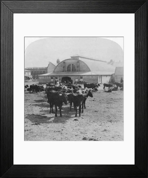 Framed Print : Building in which prisoners of war were tried, Pretoria, South Africa, Boer War, 1901. Artist: Underwood & Underwood Framed Print : Building in which prisoners of war were tried, Pretoria, South Africa, Boer War, 1901. Artist: Underwood & Underwood