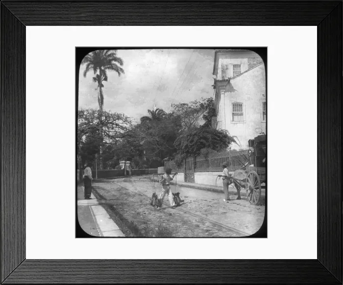 Framed Print : Street scene, Pernambuco, Brazil, late 19th or early 20th century Framed Print : Street scene, Pernambuco, Brazil, late 19th or early 20th century