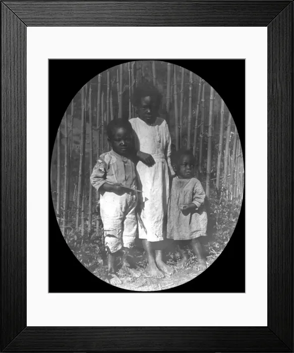 Framed Print : Children near Petropolis, Brazil, late 19th or early 20th century Framed Print : Children near Petropolis, Brazil, late 19th or early 20th century