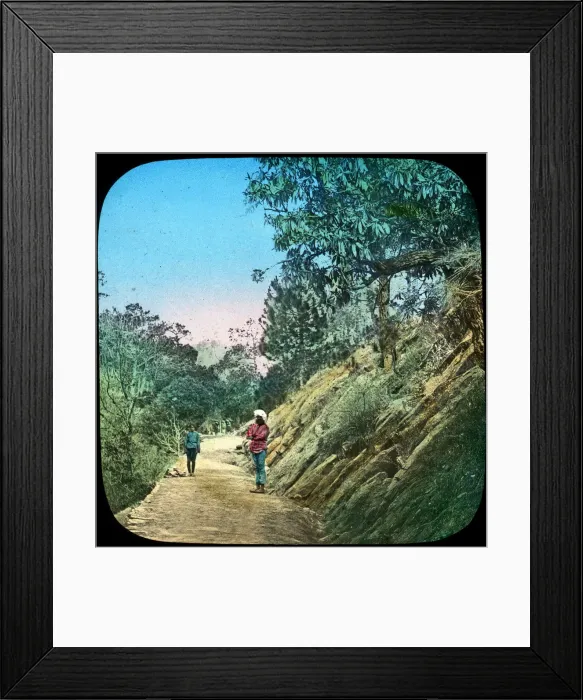 Framed Print : Scene on a road, Murree, India, late 19th or early 20th century Framed Print : Scene on a road, Murree, India, late 19th or early 20th century