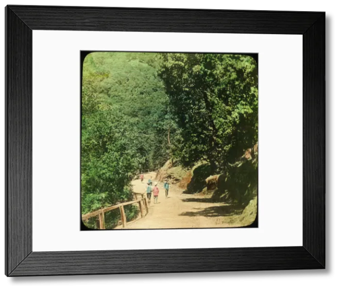 Framed Print : The Mall Road, Simla, India, late 19th or early 20th century Framed Print : The Mall Road, Simla, India, late 19th or early 20th century