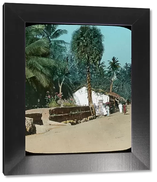 Road from Colombo to Galle, Colombo, Ceylon, late 19th or early 20th century