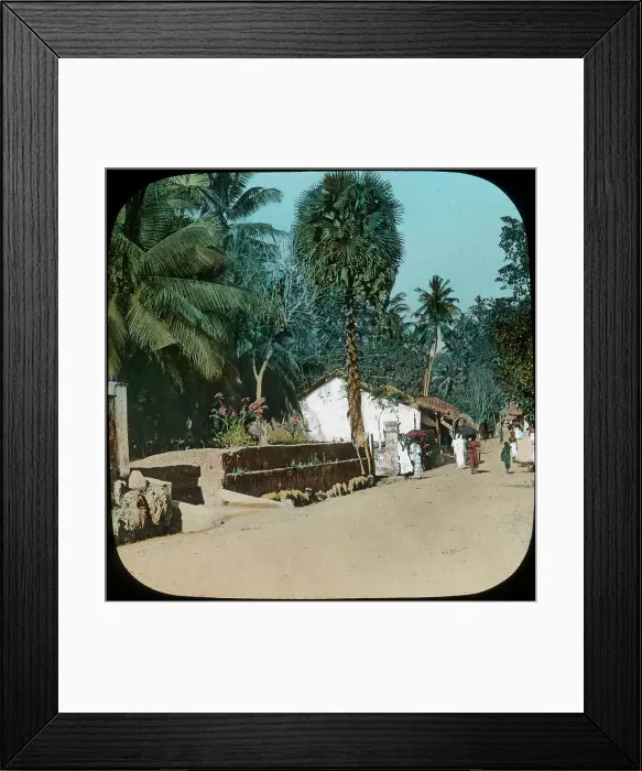 Framed Print : Road from Colombo to Galle, Colombo, Ceylon, late 19th or early 20th century Framed Print : Road from Colombo to Galle, Colombo, Ceylon, late 19th or early 20th century