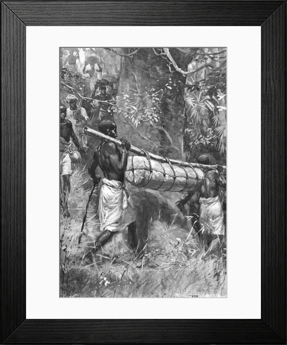 Framed Print : Bringing David Livingstones body down to the coast, Africa, 1873 Framed Print : Bringing David Livingstones body down to the coast, Africa, 1873