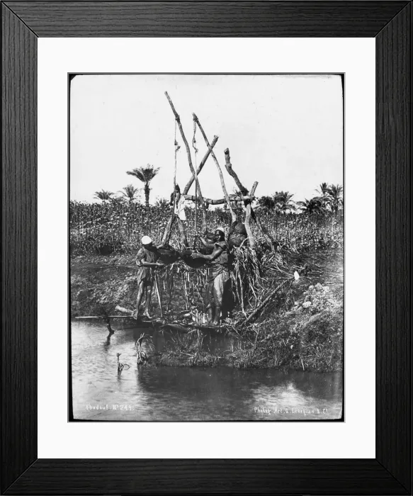Framed Print : A shaduf on the Nile, Egypt, c1890. Artist: G Lekegian Framed Print : A shaduf on the Nile, Egypt, c1890. Artist: G Lekegian