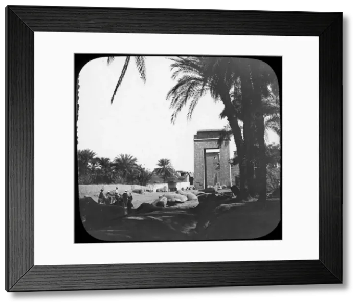 Framed Print : Avenue of Sphinxes, Karnak, Egypt, c1890. Artist: Newton & Co Framed Print : Avenue of Sphinxes, Karnak, Egypt, c1890. Artist: Newton & Co