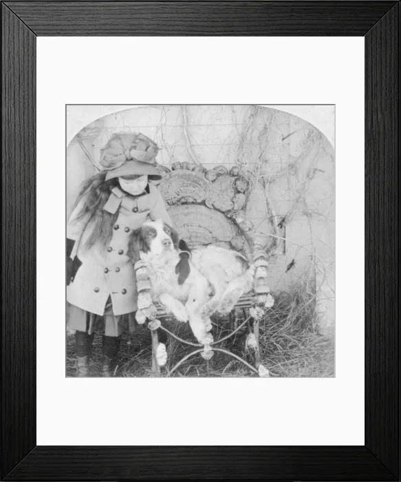Framed Print : Can t you talk, Jack?, 1882. Artist: BW Kilburn Framed Print : Can t you talk, Jack?, 1882. Artist: BW Kilburn