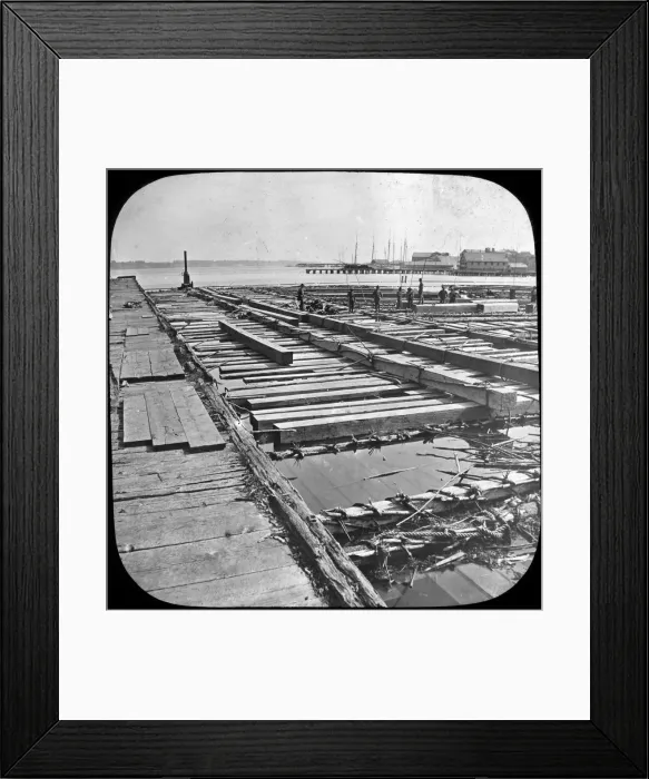 Framed Print : Timber raft, Canada, late 19th or early 20th century. Artist: Trade Mark Framed Print : Timber raft, Canada, late 19th or early 20th century. Artist: Trade Mark
