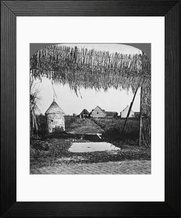 Framed Print : Ingenious camouflage, World War I, c1914-c1918. Artist: Realistic Travels Publishers Framed Print : Ingenious camouflage, World War I, c1914-c1918. Artist: Realistic Travels Publishers