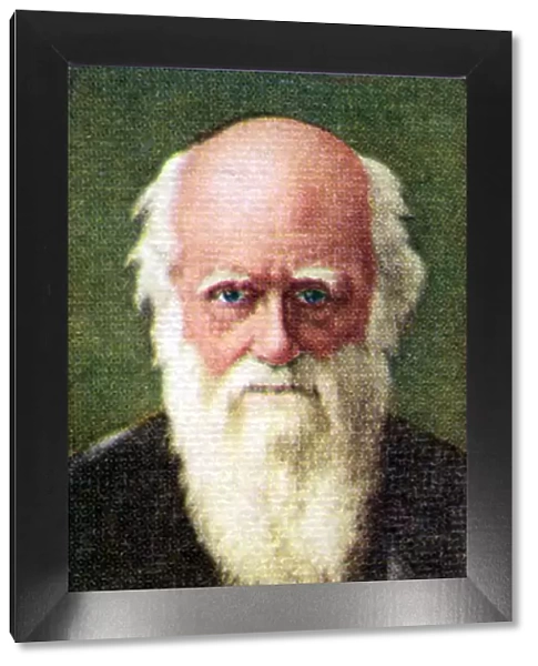 Charles Darwin, taken from a series of cigarette cards, 1935