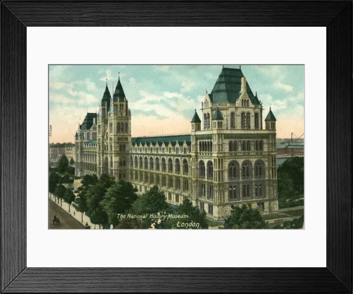 Framed Print : The National History Museum, London Framed Print : The National History Museum, London