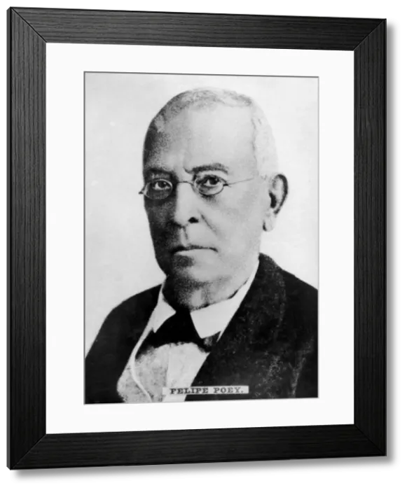 Framed Print : Felipe Poey (1799-1891), Cuban zoologist Framed Print : Felipe Poey (1799-1891), Cuban zoologist