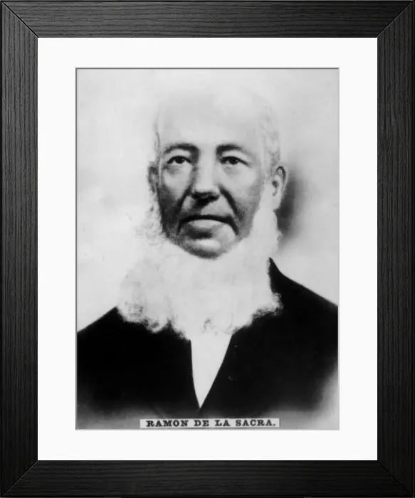 Framed Print : Ramon de la Sacra, (1798-1871), 1920s Framed Print : Ramon de la Sacra, (1798-1871), 1920s