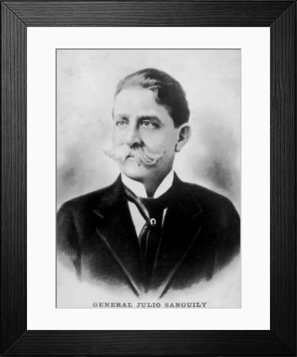 Framed Print : Julio Sanguily, (1846-1906), 1920s