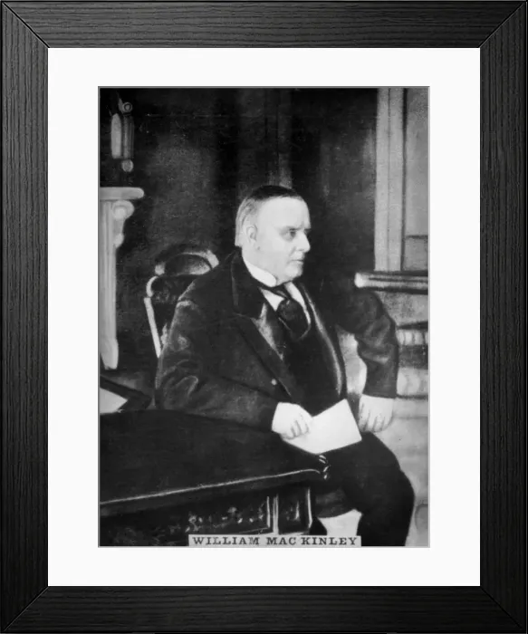Framed Print : William McKinley, (1843-1901), 1920s Framed Print : William McKinley, (1843-1901), 1920s