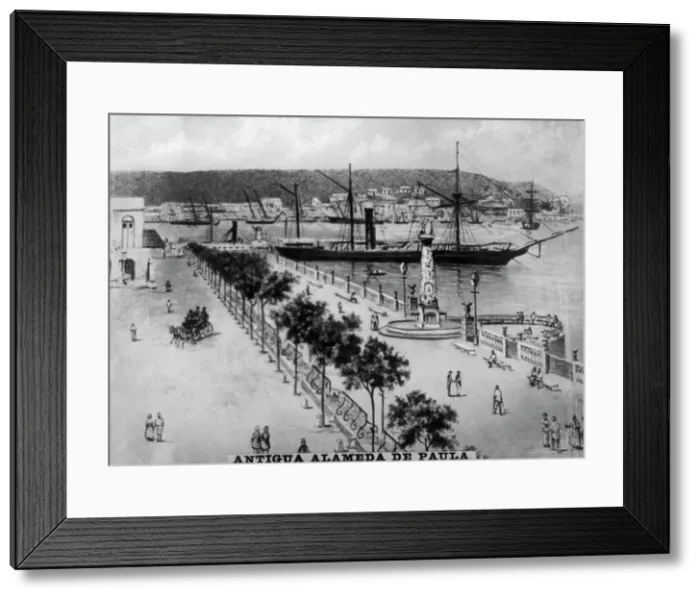 Framed Print : Avenue the Paula, (18th century), 1920s Framed Print : Avenue the Paula, (18th century), 1920s