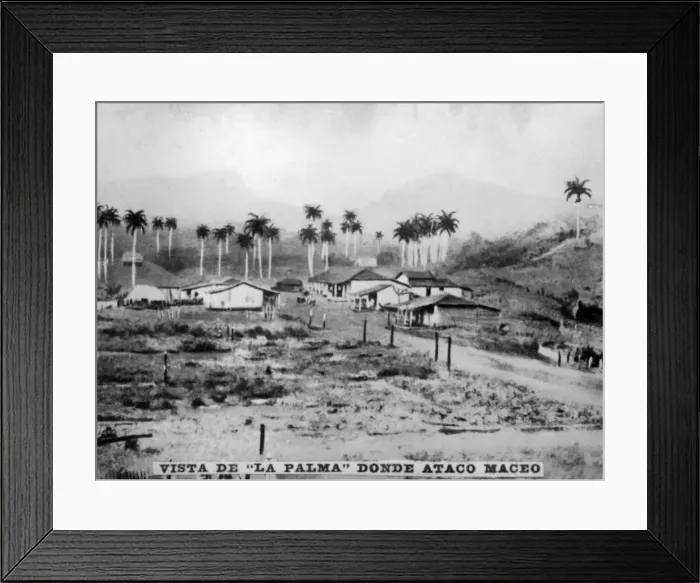 Framed Print : View of Palma, (1896), 1920s Framed Print : View of Palma, (1896), 1920s
