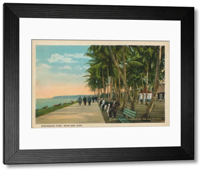 Framed Print : Borinquen Park, near San Juan, 1909 Framed Print : Borinquen Park, near San Juan, 1909