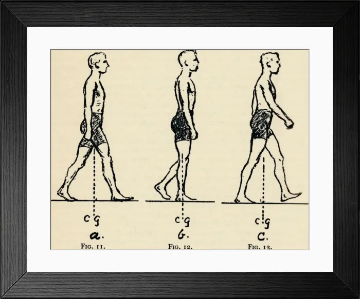Framed Print : Depicting Main Principles of Locomotion, 1940 Framed Print : Depicting Main Principles of Locomotion, 1940