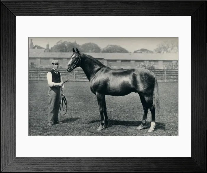 Framed Print : Thoroughbred racehorse, Bend Or, c1880 Framed Print : Thoroughbred racehorse, Bend Or, c1880