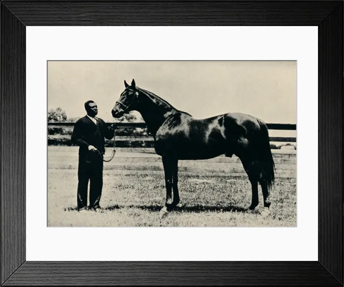 Framed Print : Thoroughbred racehorse, Man O War, c1920 Framed Print : Thoroughbred racehorse, Man O War, c1920