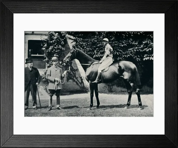 Framed Print : Thoroughbred racehorse, Ladas, 1894 Framed Print : Thoroughbred racehorse, Ladas, 1894