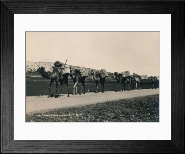 Framed Print : A Camel Train bound for Damascus, 1936 Framed Print : A Camel Train bound for Damascus, 1936