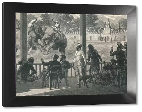 Elephant Fight at Baroda, 1896