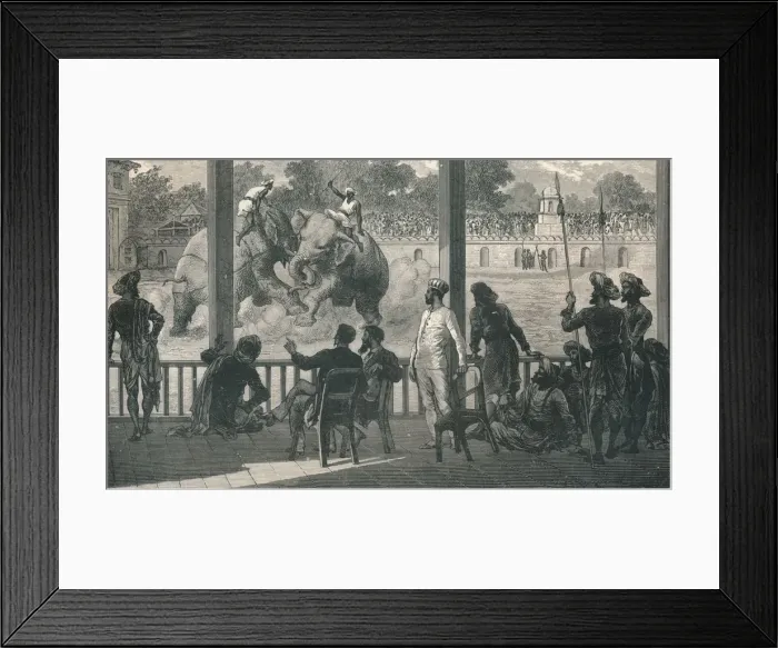Framed Print : Elephant Fight at Baroda, 1896 Framed Print : Elephant Fight at Baroda, 1896