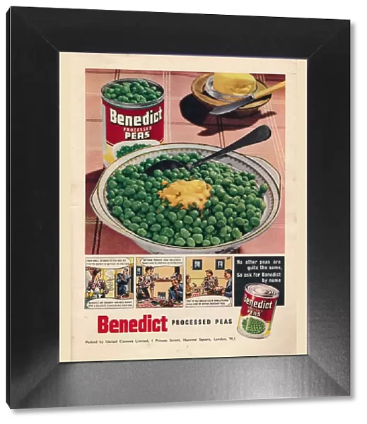 Advert for Benedict processed peas, 1951