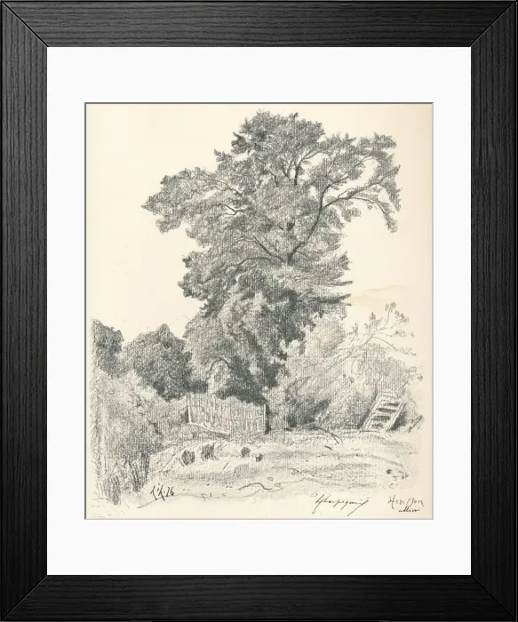 Framed Print : Study of Trees, c1839-1898, (1898). Artist: Henri-Joseph Harpignies Framed Print : Study of Trees, c1839-1898, (1898). Artist: Henri-Joseph Harpignies