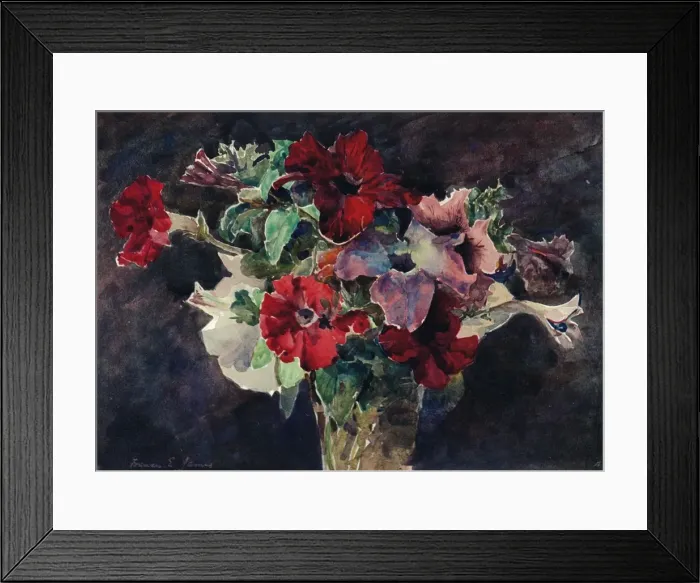 Framed Print : Petunias, c1869-1906, (1906). Artist: Francis Edward James Framed Print : Petunias, c1869-1906, (1906). Artist: Francis Edward James