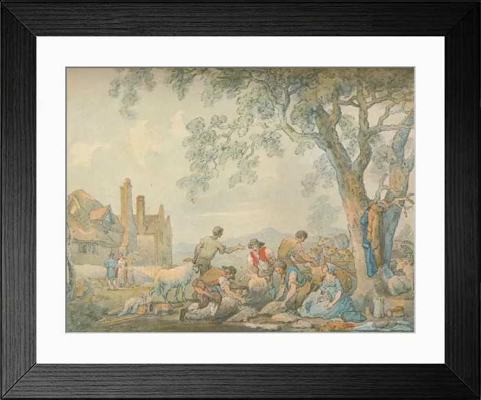 Framed Print : Sheep-Shearing, c1776-1827, (1906). Artist: Thomas Rowlandson Framed Print : Sheep-Shearing, c1776-1827, (1906). Artist: Thomas Rowlandson