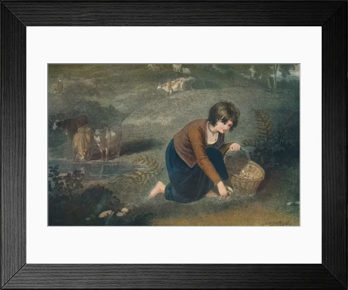 Framed Print : A Girl Gathering Mushrooms, 1800, (1917). Artist: Robert Mitchell Meadows Framed Print : A Girl Gathering Mushrooms, 1800, (1917). Artist: Robert Mitchell Meadows