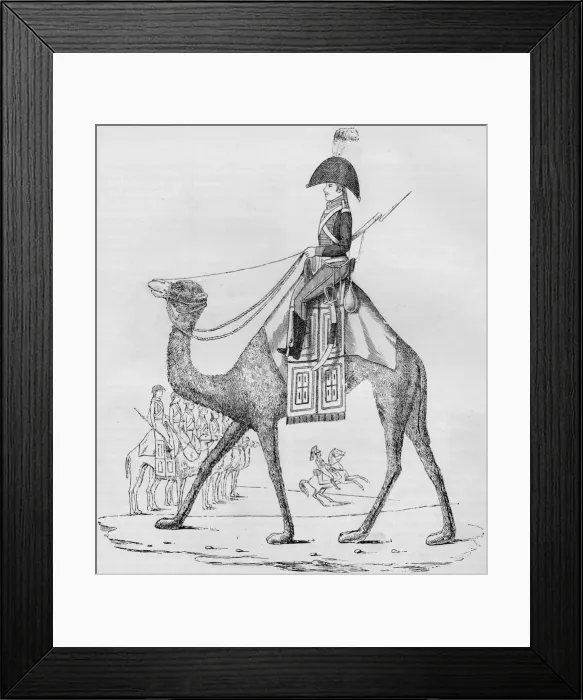 Framed Print : French Domedary Regiment. Captured with a Convoy in the Lybian Desert, May, 1801, (1884) Framed Print : French Domedary Regiment. Captured with a Convoy in the Lybian Desert, May, 1801, (1884)