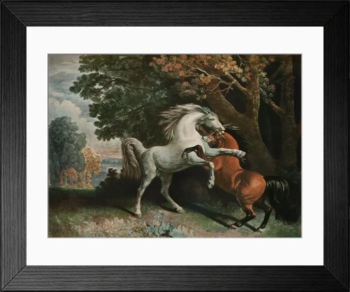 Framed Print : Horses Fighting, c18th century, (1902). Artist: George Townley Stubbs Framed Print : Horses Fighting, c18th century, (1902). Artist: George Townley Stubbs
