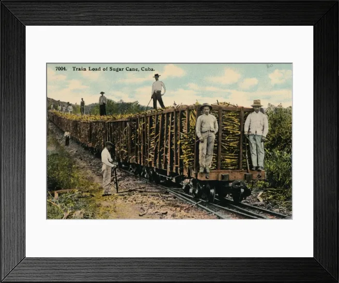 Framed Print : Train Load of Sugar Cane leaving the field, Cuba, 1915 Framed Print : Train Load of Sugar Cane leaving the field, Cuba, 1915