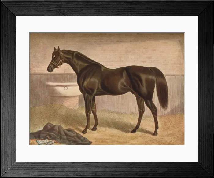 Framed Print : Gladiator, 19th century, (1903). Artist: John Frederick Herring I Framed Print : Gladiator, 19th century, (1903). Artist: John Frederick Herring I