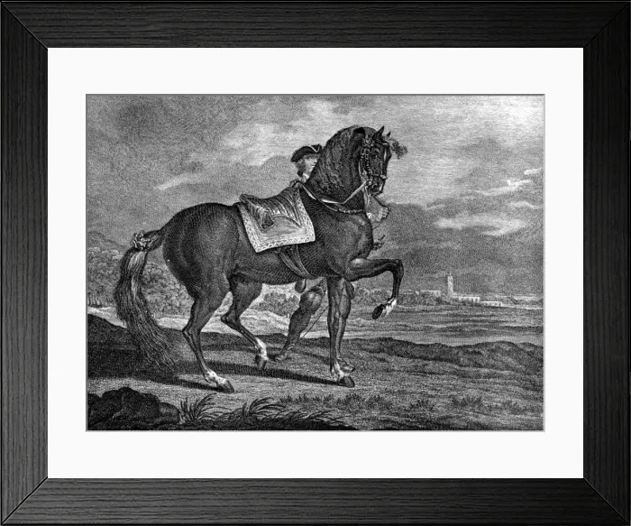 Framed Print : Barb, 1722 (1938) Framed Print : Barb, 1722 (1938)
