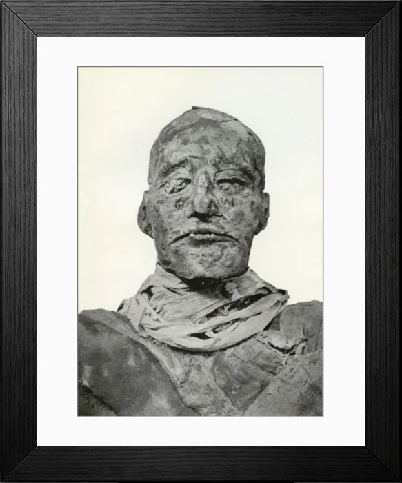 Framed Print : Head of the mummy of Rameses III, Ancient Egyptian pharaoh of the 20th Dynasty, c1156 BC (1926). Artist: Winifred Mabel Brunton Framed Print : Head of the mummy of Rameses III, Ancient Egyptian pharaoh of the 20th Dynasty, c1156 BC (1926). Artist: Winifred Mabel Brunton