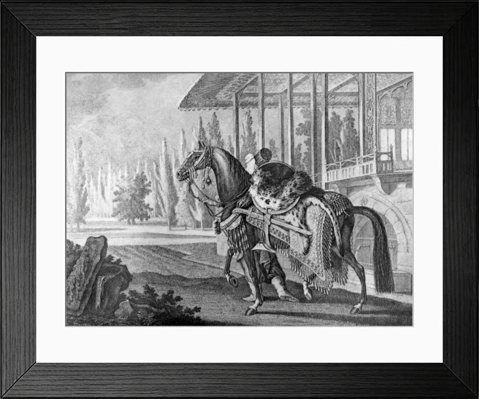 Framed Print : Turkish Pashas Arabian hack, 1722 (1938) Framed Print : Turkish Pashas Arabian hack, 1722 (1938)